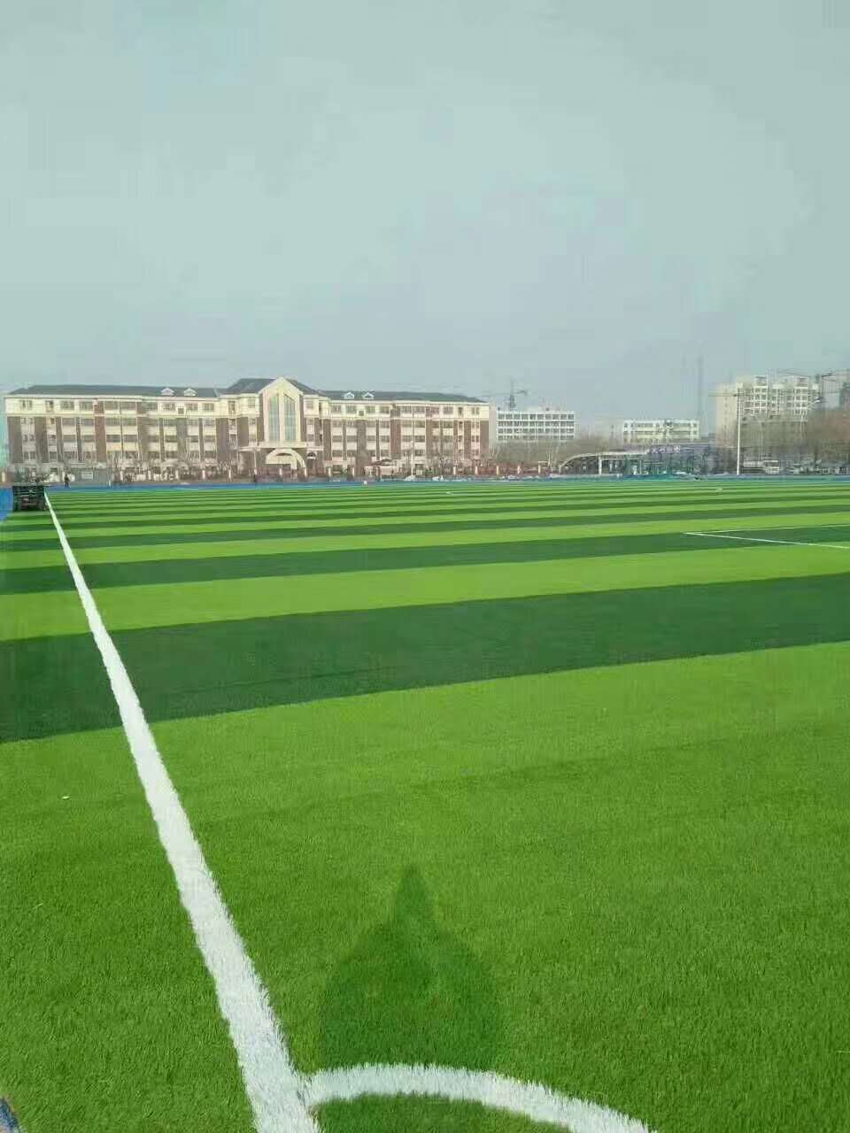 锦州市epdm颗粒仿真草坪 - 排名